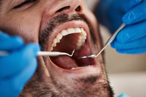 Professional Holistic Dental Care Services in North Lewisburg, OH